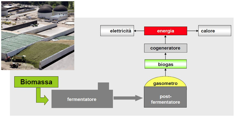 business plan impianto biogas