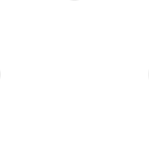Bullseye regular full