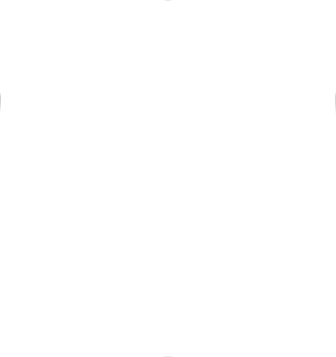 Shield regular full